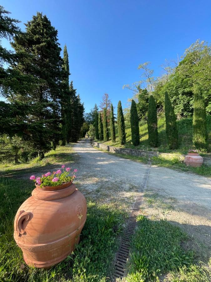 Villa Filippo Cerliano Exteriör bild